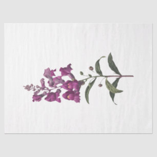 Papel De Seda Série Queen Bee Design 65