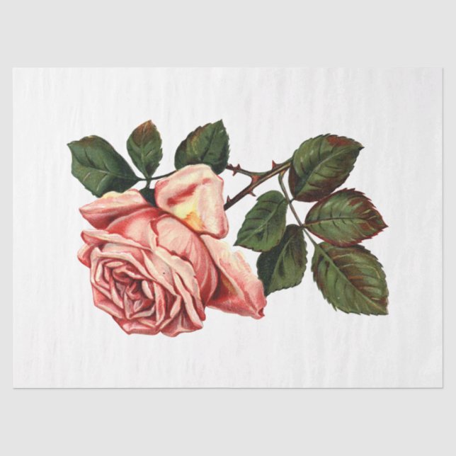 Papel De Seda Série Rainha Abelha Design 63 (Frente )