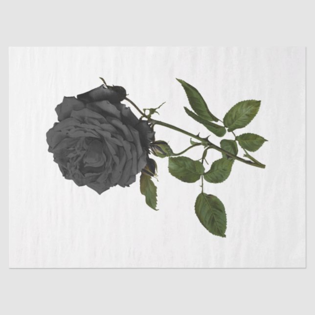 Papel De Seda Série Vintage Rose Desenho 39 (Frente )