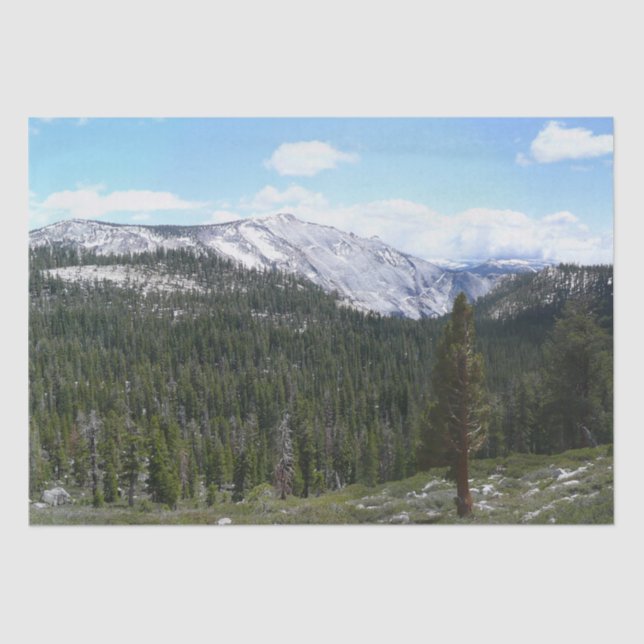 Papel De Seda Serra Nevada II de Yosemite (Frente )