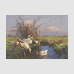 Papel De Seda Sete Patos na Valeta de Alexander Koester