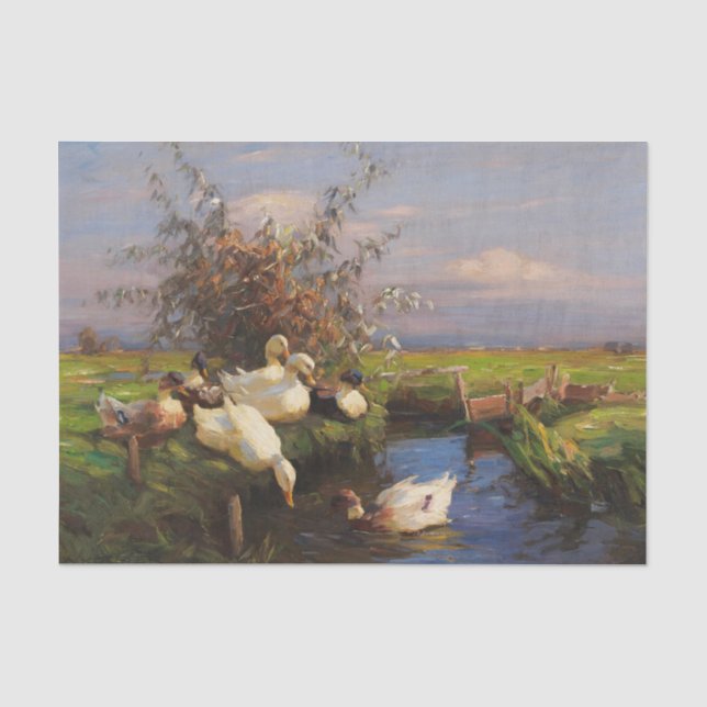 Papel De Seda Sete Patos na Valeta de Alexander Koester (Frente )