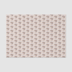 Papel De Seda Setter Inglês Laranja Belton - Pintura de Cão