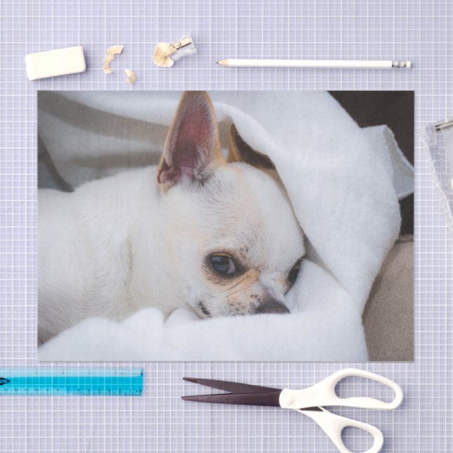 Papel De Seda Seu cachorrinho de estimação foto personalizada ch (Arte )