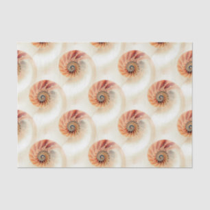 Papel De Seda Shell elegante modela