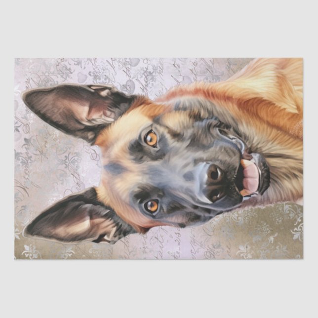 Papel De Seda Shepherd Malinois Cão Belga (Frente )