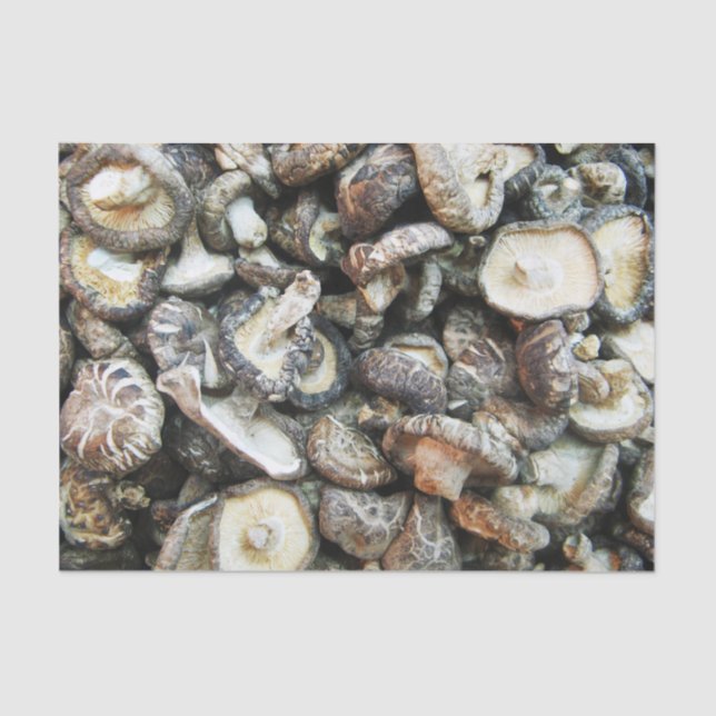 Papel De Seda Shiitake Mushroom (Frente )