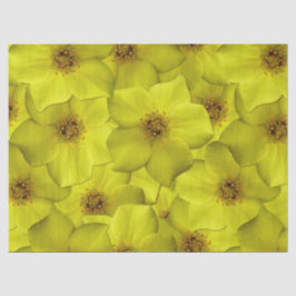 Papel De Seda Shrubby Cinquefoil Padrão Sem Costura