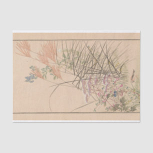 Papel De Seda Shū bi Gakan Pl.03 por Nanbara Sakujirō