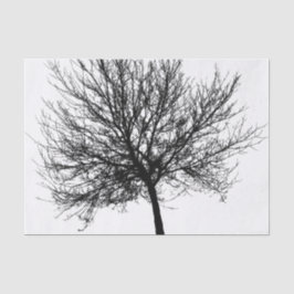 Papel De Seda Silhouette de Árvore