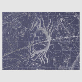 Papel De Seda Silver Galaxy Star Map Series Design 10