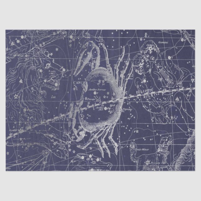 Papel De Seda Silver Galaxy Star Map Series Design 10 (Frente )