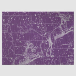 Papel De Seda Silver Galaxy Star Map Series Design 3