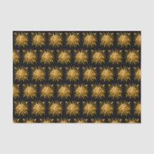 Símbolo de Luís XIV o Rei Sol