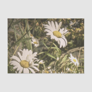 Papel De Seda Simpatia do cão com margaridas amarelas