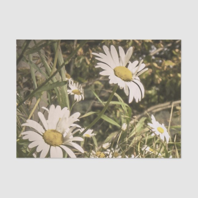 Papel De Seda Simpatia do cão com margaridas amarelas (Frente )