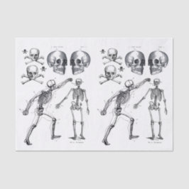 Papel De Seda Skeleton Skull n Ossos Dissociação Colagem Ti