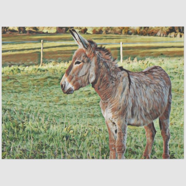 Papel De Seda smartmix animal- burro 1 (Frente )