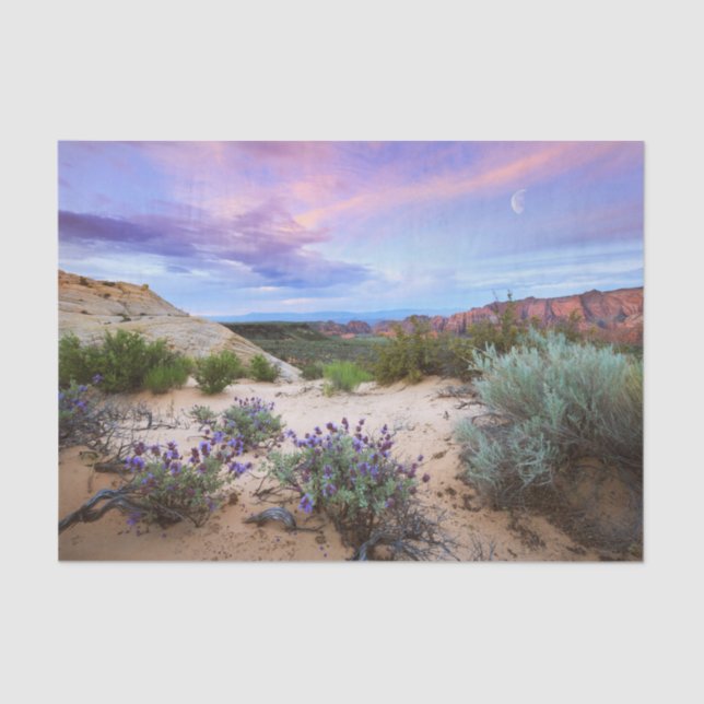 Papel De Seda Snow Canyon Wildflower em Utah (Frente )