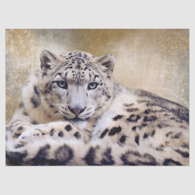 Papel De Seda Snow Leopard Lying Down (Frente )