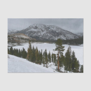Papel De Seda Snowy Ellery Lake California Fotografia de inverno