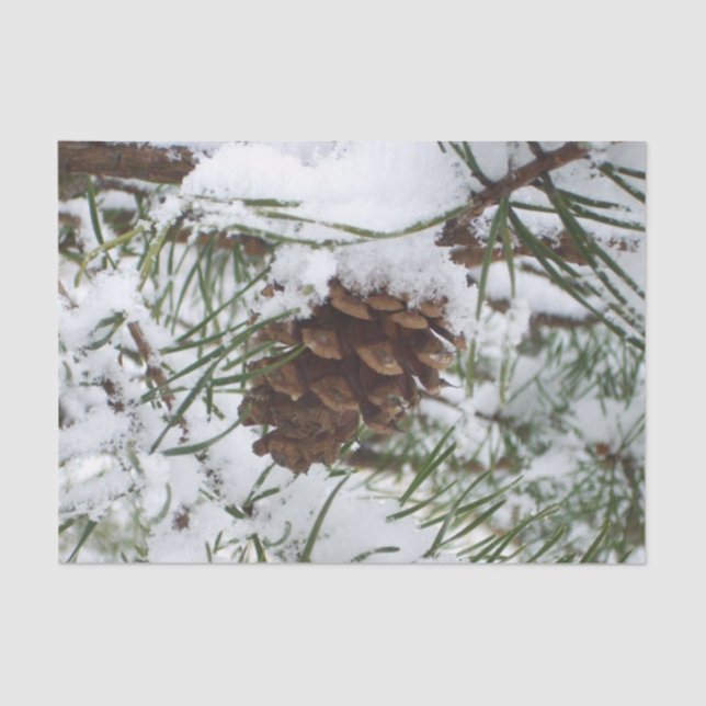 Papel De Seda Snowy Pine Cone I Winter Nature Photoshop (Frente )
