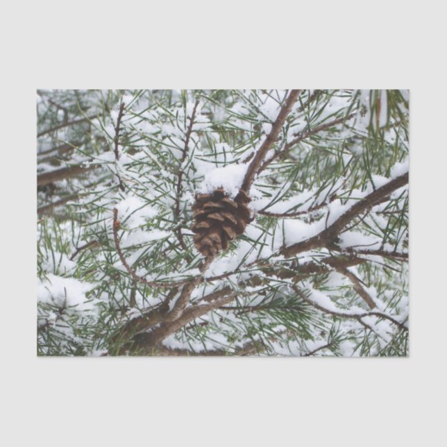 Papel De Seda Snowy Pine Cone II Fotografia de inverno (Frente )