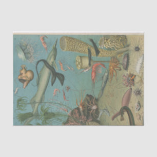 Papel De Seda Sob o mar, artesãos da biologia marinha''