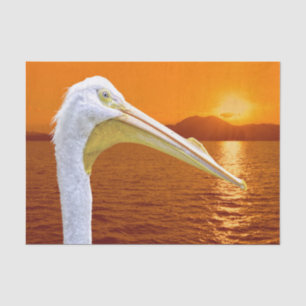 Papel De Seda Sol branco-americano Pelicano em Corfu