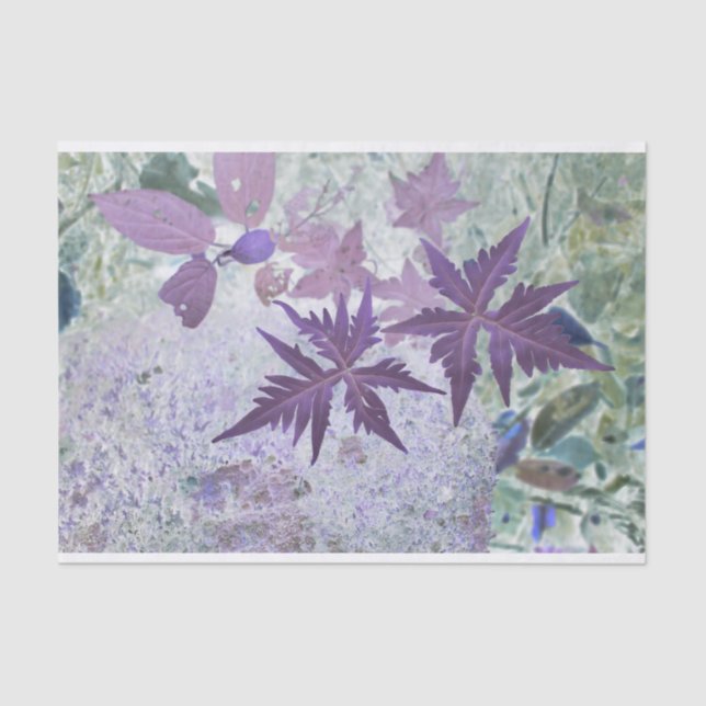 Papel De Seda Sombra pastosa de púrpura e de urze (Frente )