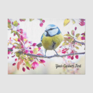 Papel De Seda Songbird e Primavera, sua mensagem