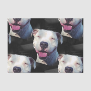 Papel De Seda Sorriso