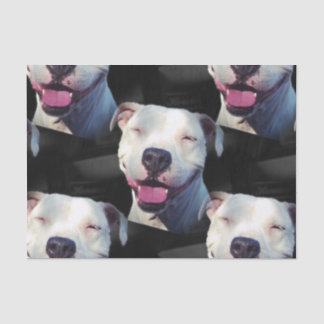 Papel De Seda Sorriso