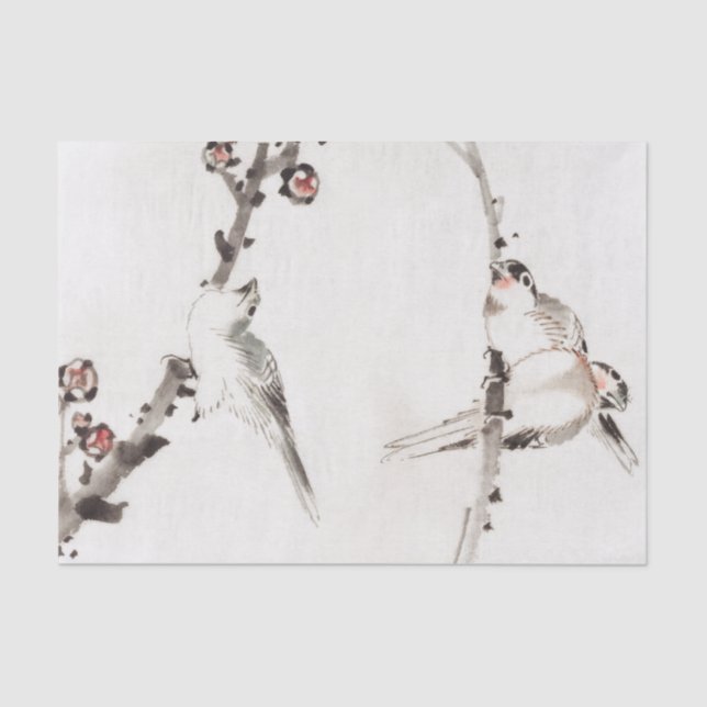 Papel De Seda SPARRON ON BRANCH Tissue Paper (Frente )
