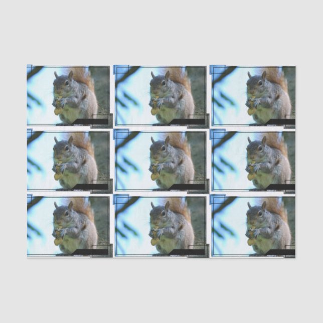 Papel De Seda squirrel-13.jpg (Frente )