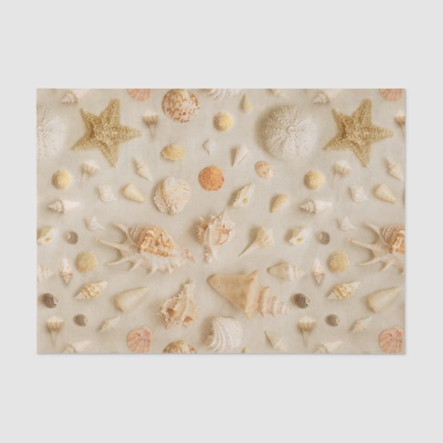 Papel De Seda Starfish e Seashells Beach Photo (Frente )