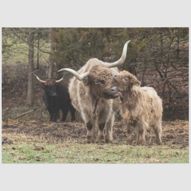 Papel De Seda Stirling Skye (Frente )