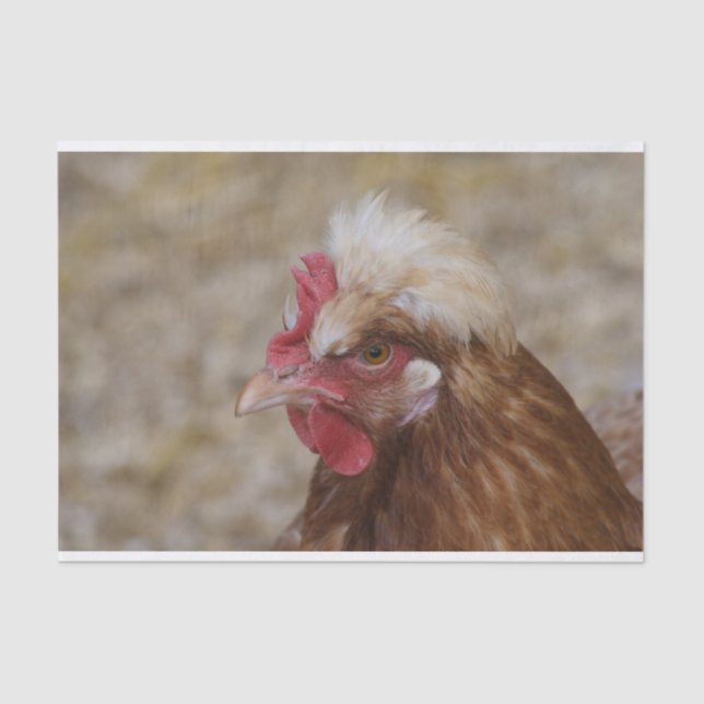 Papel De Seda Sulmtaler Hen (Frente )