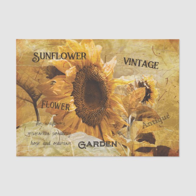 Papel De Seda Sunflower Amarelo Belo Campo Ephemera Script (Frente )