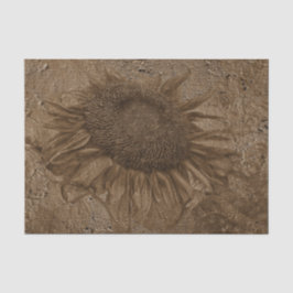 Papel De Seda Sunflower Vintage Dark Sepia Grunge Textura