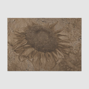 Papel De Seda Sunflower Vintage Dark Sepia Grunge Textura