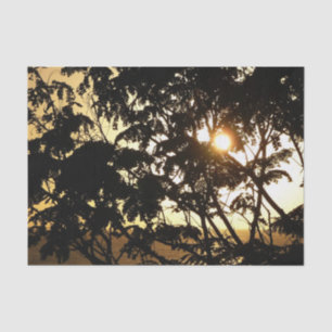 Papel De Seda Sunset Through Tres I Fotografia Tropical