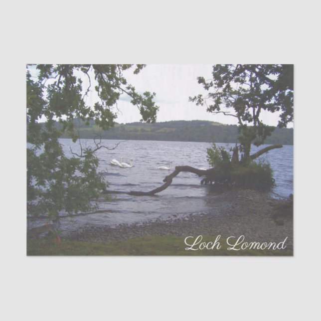 Papel De Seda Swans on Loch Lomond (Frente )