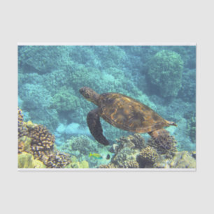 Papel De Seda Swimming Sea Turtle in Blue Ocean