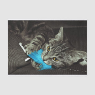 Papel De Seda Tabby Cat com pena de Shirley Taylor