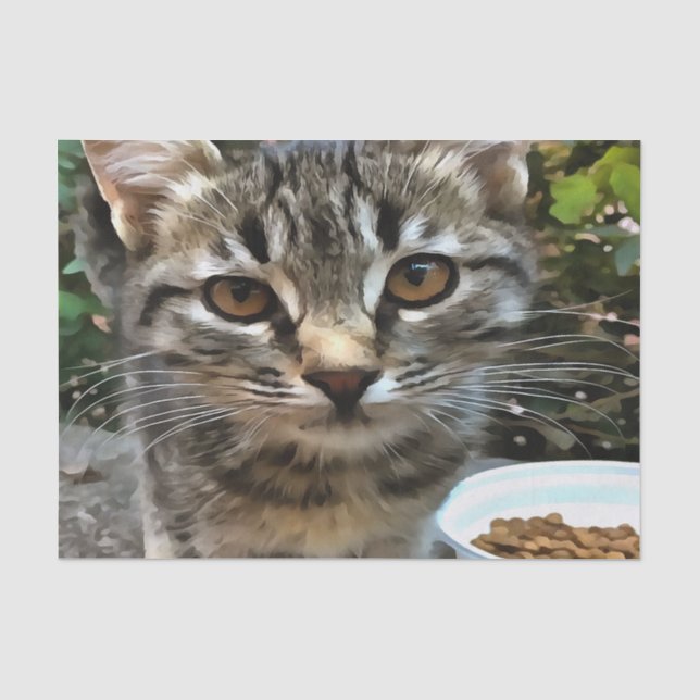 Papel De Seda Tabby Cat Kitten Fazer Eye Contato (Frente )
