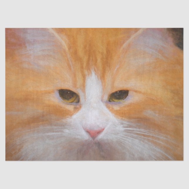 Papel De Seda Tabby Cat Laranja Branco Bonito (Frente )