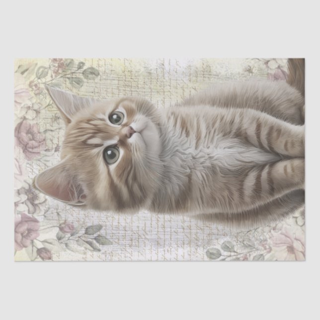 Papel De Seda Tabby Floral Cat Kitten (Frente )