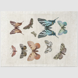 Papel De Seda Tabterfly Vintage Blue Peach Decoupage