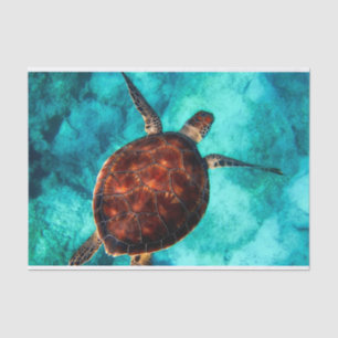 Papel De Seda Tartaruga do Mar Nadador na Água do Oceano Azul